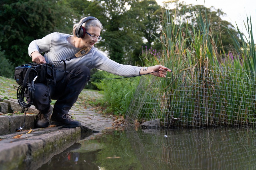 An image of a person wearing headphones and carrying sound recording equipment, dangling a wire into a pond.  There are reeds beside the water, and trees in the background.